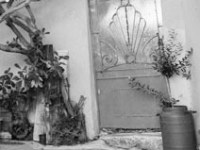 The Woman from&nbsp;Above